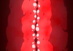 Amateur Asian Japanese Teen Gang Facial