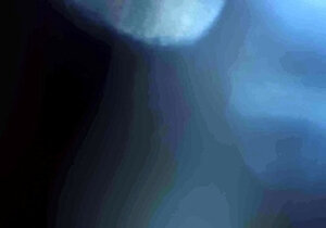 Alice Zaffyre,Bella Spark&amp;Amelia Riven - Very Delicious