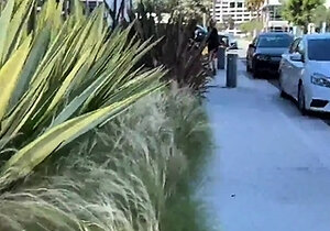 Ryan Reid Rara Knupps