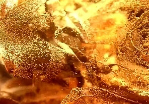 Inocent teen Elina Sansd Dap interracial. Open ass