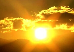 Small titted asian beauty giving blowjob