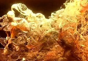 Sofia Ross - New Sexy Teen Flexy First Anal by Lancelot