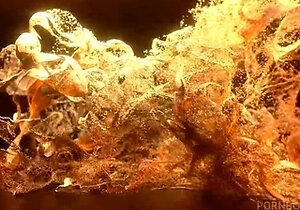 Jana Red - Beautiful Slim Latina Teenager Having Intenso