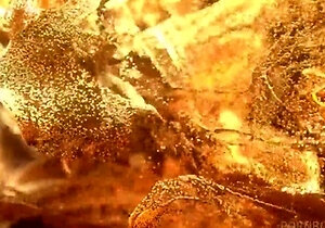 Elina Sansd - Skinny Teen Elina Sansd Takes A Monster Cock