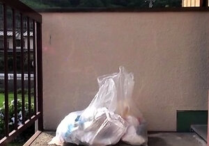 Japanese teen blowjob and hard fuck uncensored