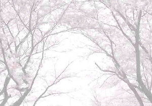 Japanese teens super wet solo show Uncensored